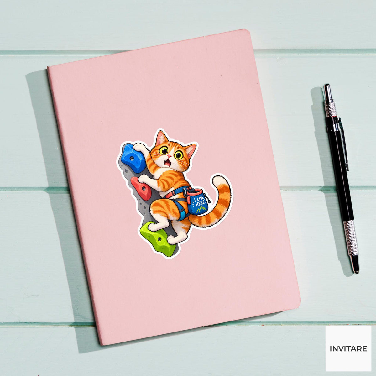 Cat Bouldering Vinyl Sticker, I Live Here Cute Animal Illustration