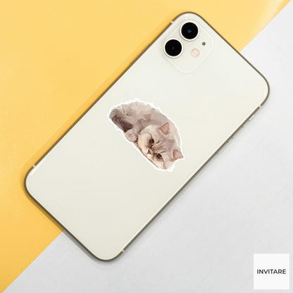 Watercolor British Shorthair Cat Sticker | Cute Cat Art Decal