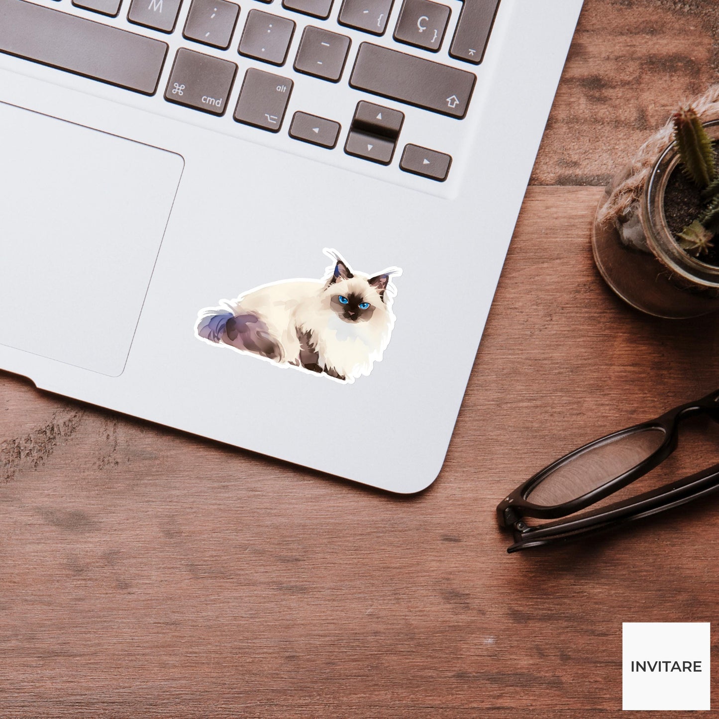 Watercolor Ragdoll Cat Sticker | Adorable Cat Art for Journals & Laptops