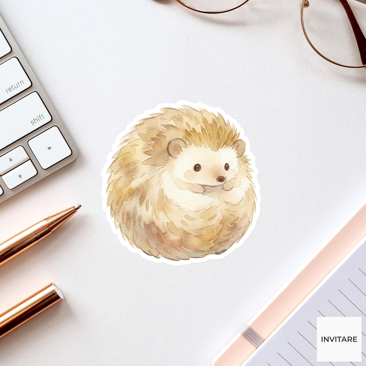 Whimsical Watercolor Hedgehog Sticker Adorable Woodland Animal Decal  Journal Planner Laptop Gift For Friends