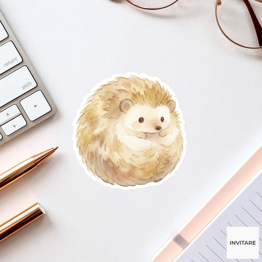Whimsical Watercolor Hedgehog Sticker Adorable Woodland Animal Decal  Journal Planner Laptop Gift For Friends
