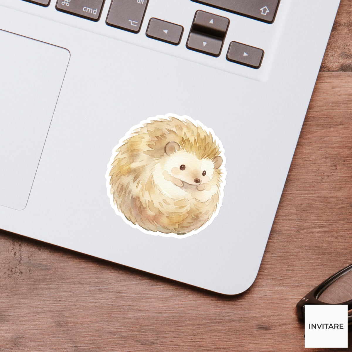 Whimsical Watercolor Hedgehog Sticker Adorable Woodland Animal Decal  Journal Planner Laptop Gift For Friends