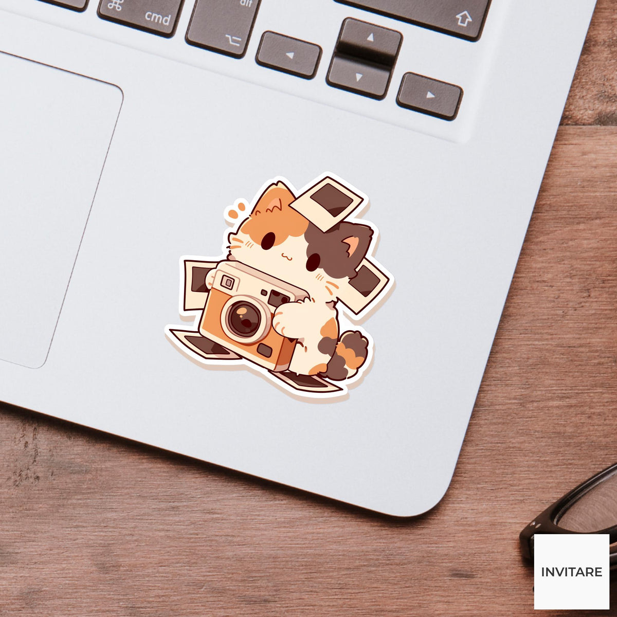 Calico Instant Camera Sticker, Photo Day Gone Wrong Funny Cat Meme Decal