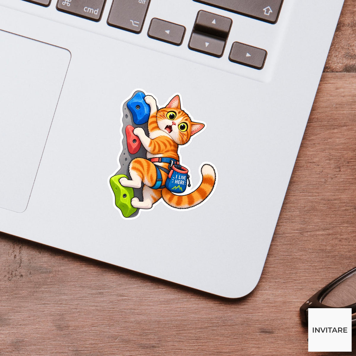 Cat Bouldering Vinyl Sticker, I Live Here Cute Animal Illustration