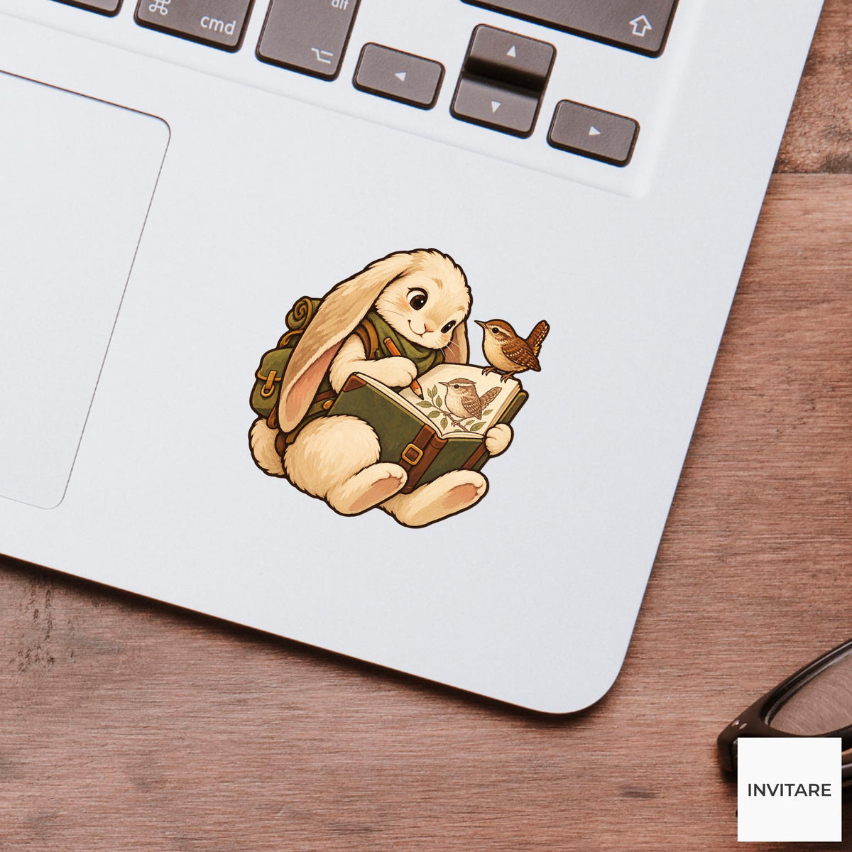 Rabbit Wren Field Notes Vinyl Sticker, Birdwatching Animal Decal, Birder Gift