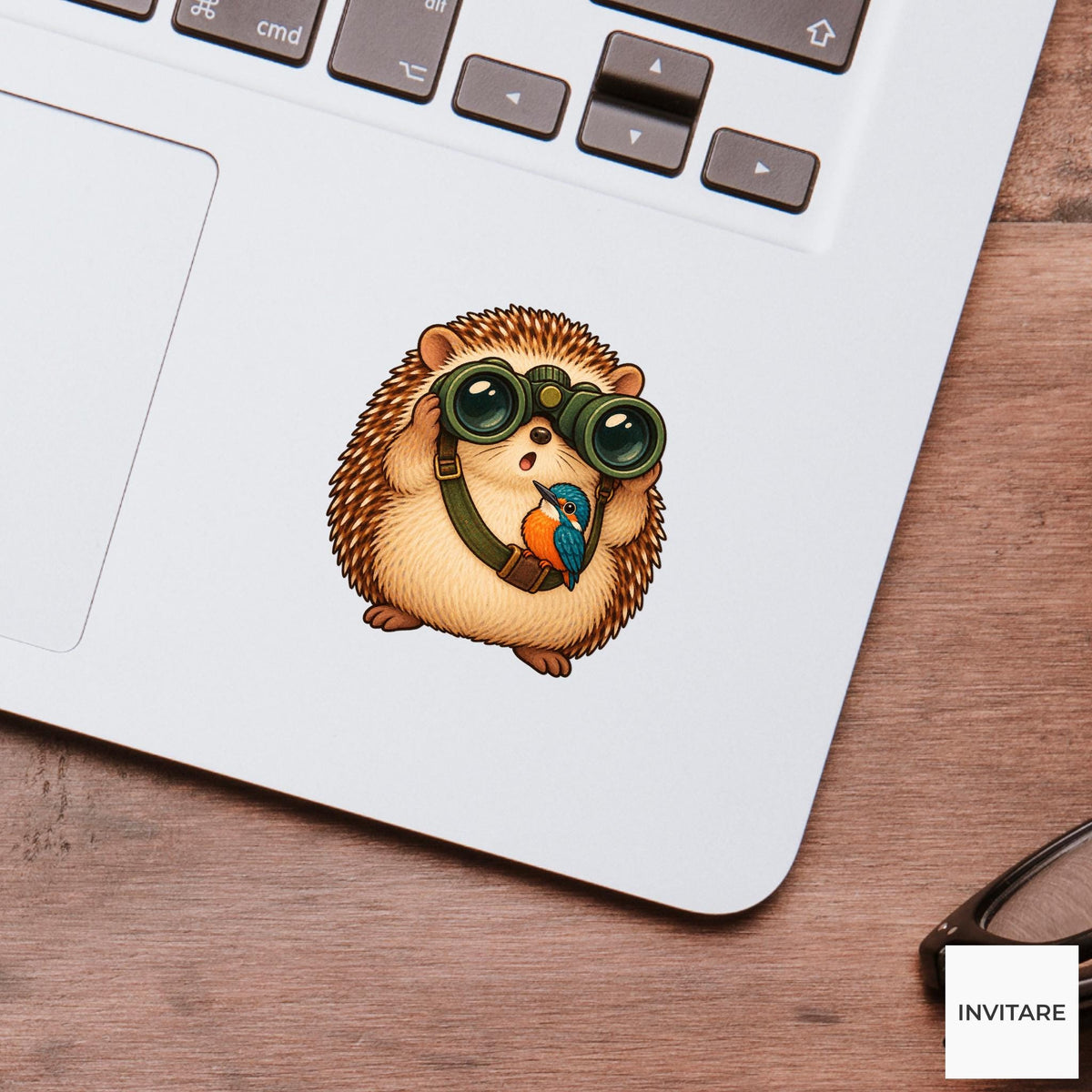 Hedgehog Kingfisher Watch Vinyl Sticker, Birdwatching Animal Decal, Birder Gift